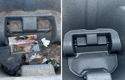 Before and After Service Photo